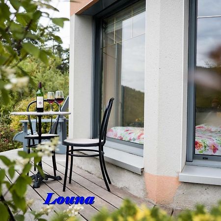 Appartements 5 Personnes Maya Et Louna Xonrupt-Longemer ภายนอก รูปภาพ