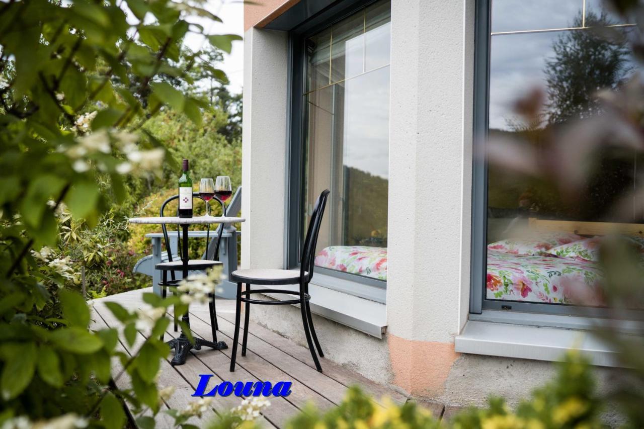 Appartements 5 Personnes Maya Et Louna Xonrupt-Longemer ภายนอก รูปภาพ