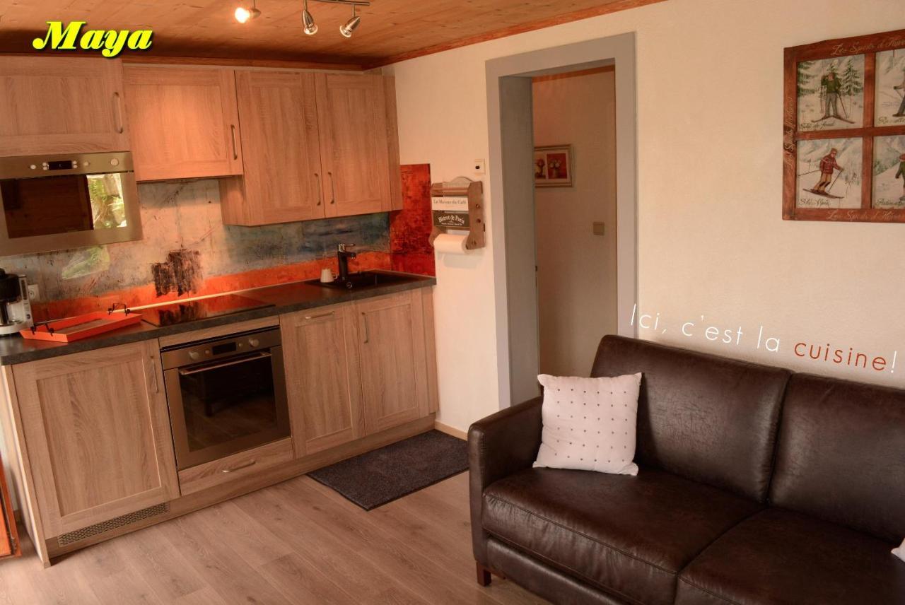 Appartements 5 Personnes Maya Et Louna Xonrupt-Longemer ภายนอก รูปภาพ