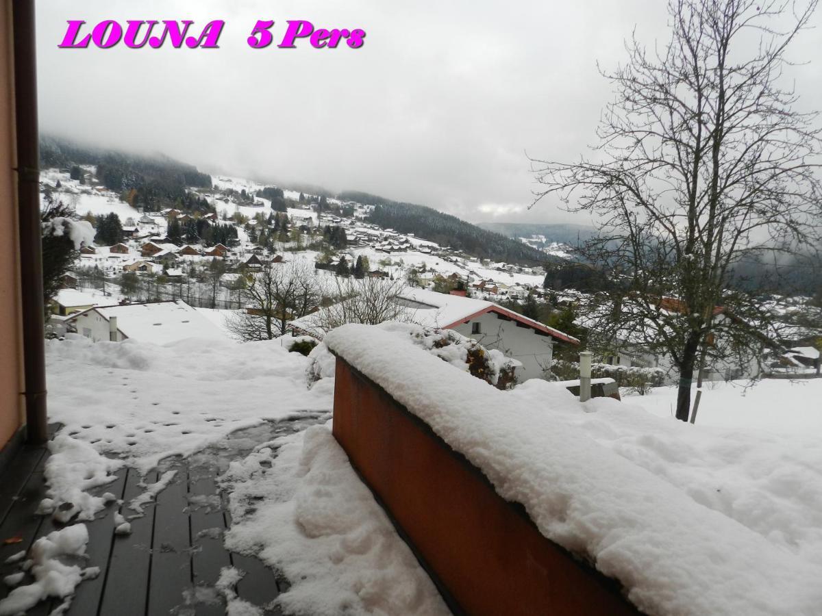 Appartements 5 Personnes Maya Et Louna Xonrupt-Longemer ภายนอก รูปภาพ